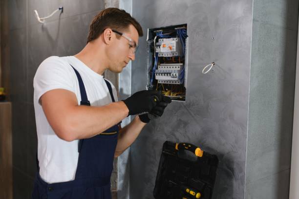 Best Electric Panel Repair  in Rockwell City, IA